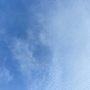 Meet your Posher, Molly